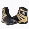Boxing Shoes