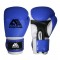 Boxing Training Gloves