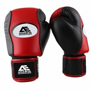 Muay Thai  Gloves