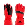 Ski Gloves