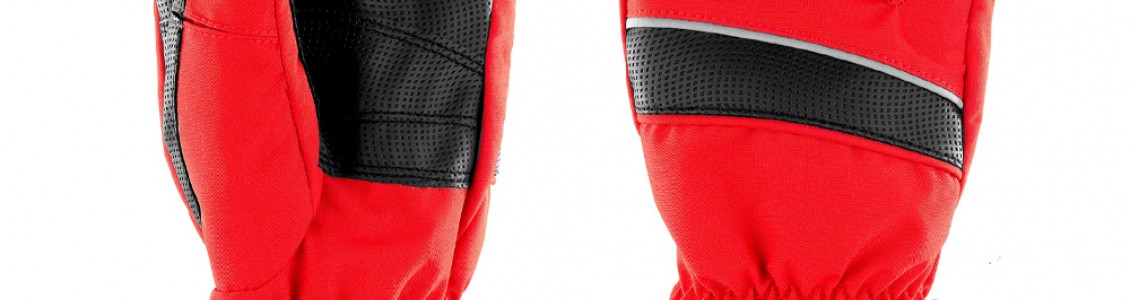 Ski Gloves