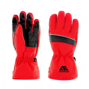 Ski Gloves