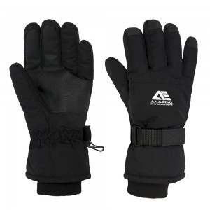 Ski Gloves