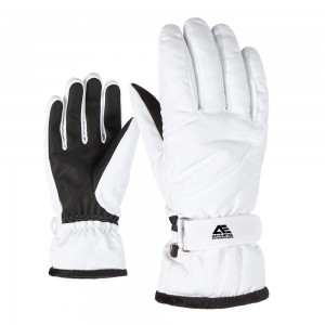 Ski Gloves