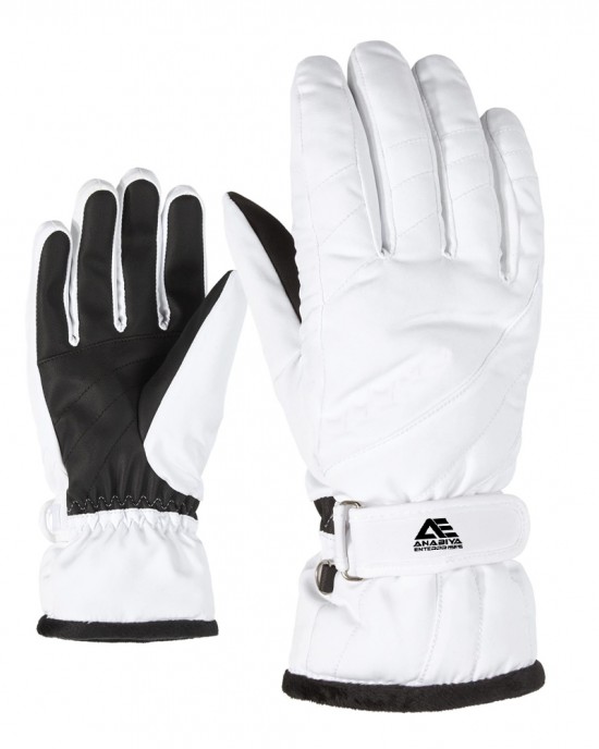 Ski Gloves